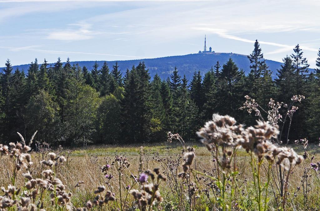 Ferienwohnung Osterbrink Ilsenburg Exteriör bild