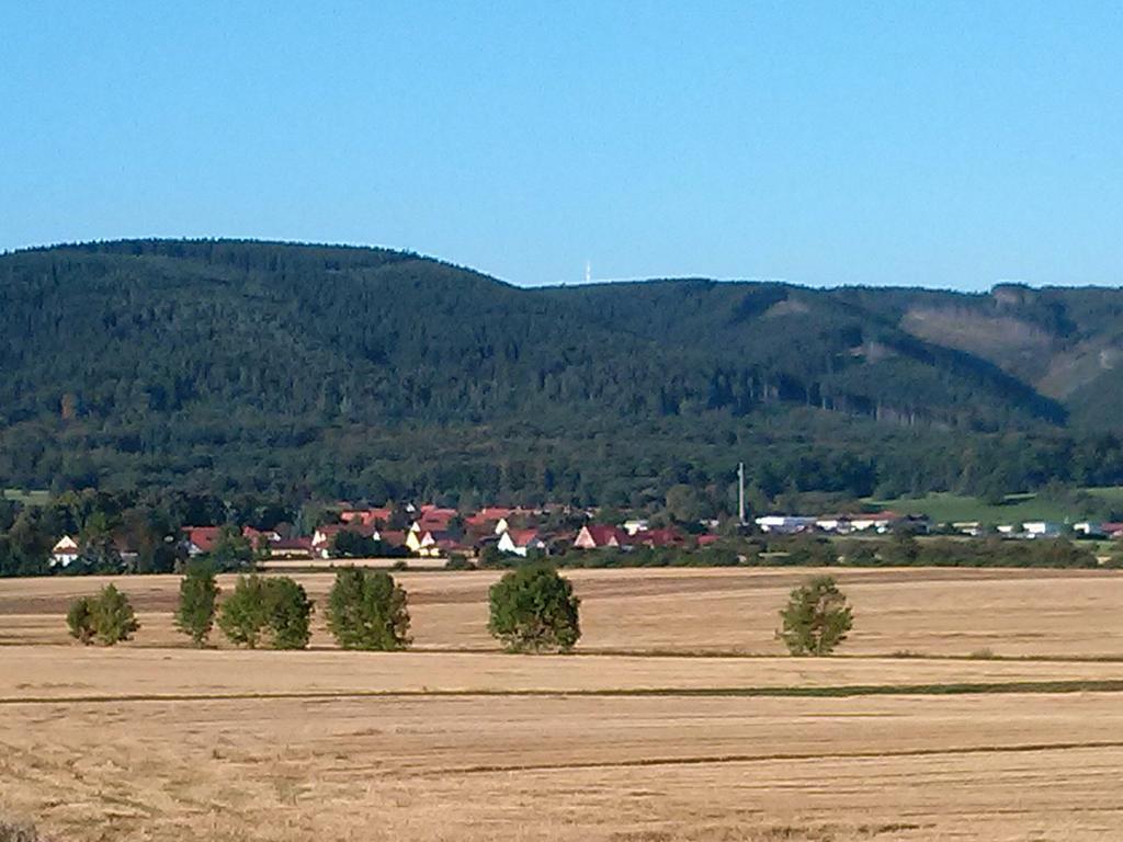 Ferienwohnung Osterbrink Ilsenburg Exteriör bild